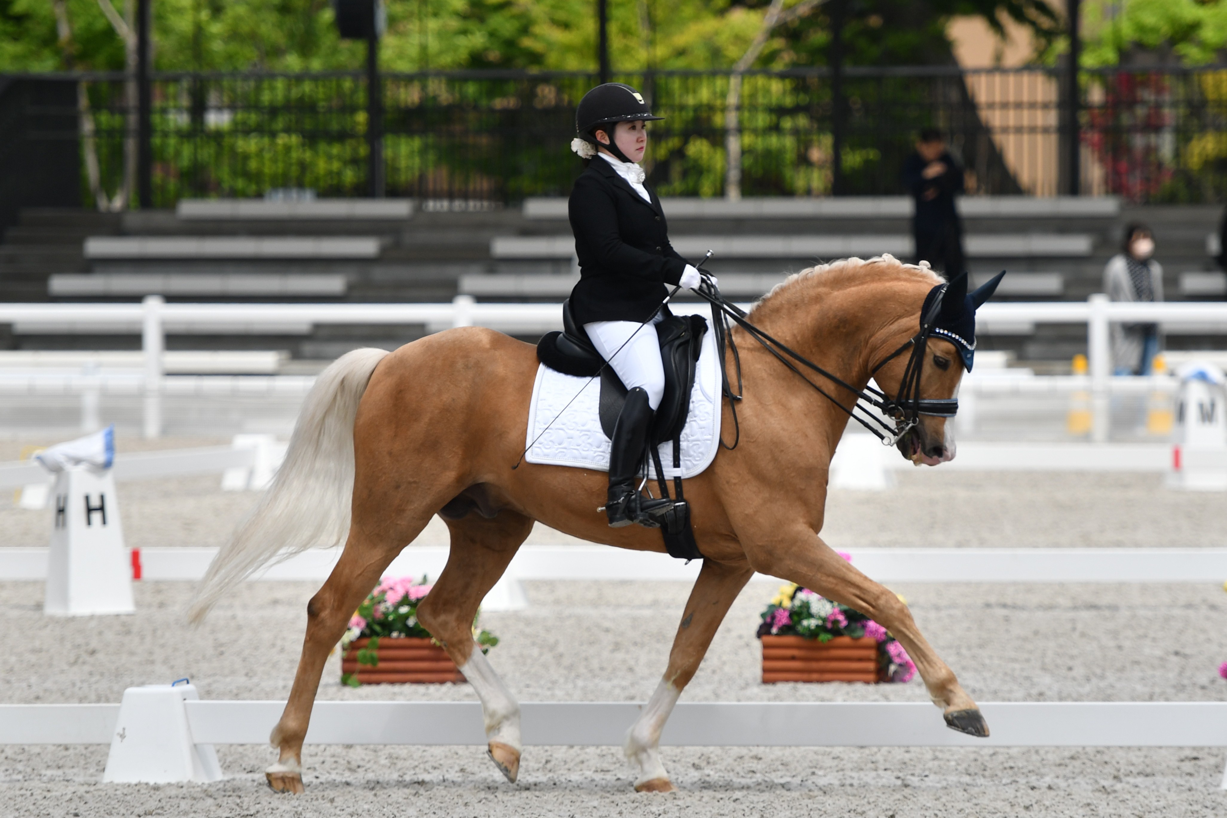 チャレンジ・ドレッサージュ》を開催しました 公益社団法人 日本馬術